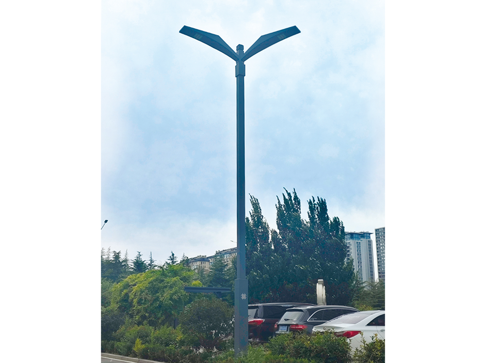 Double Arm Light Poles