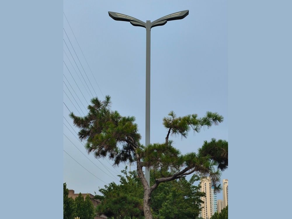 butterfly type light poles